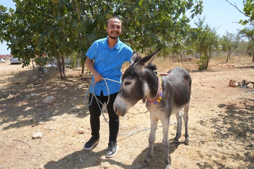 Annesi &ouml;len eşeğe g&ouml;z&uuml; gibi bakıyor