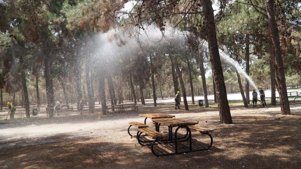 D&uuml;l&uuml;k Tabiat Parkı'nda orman yangını tatbikatı