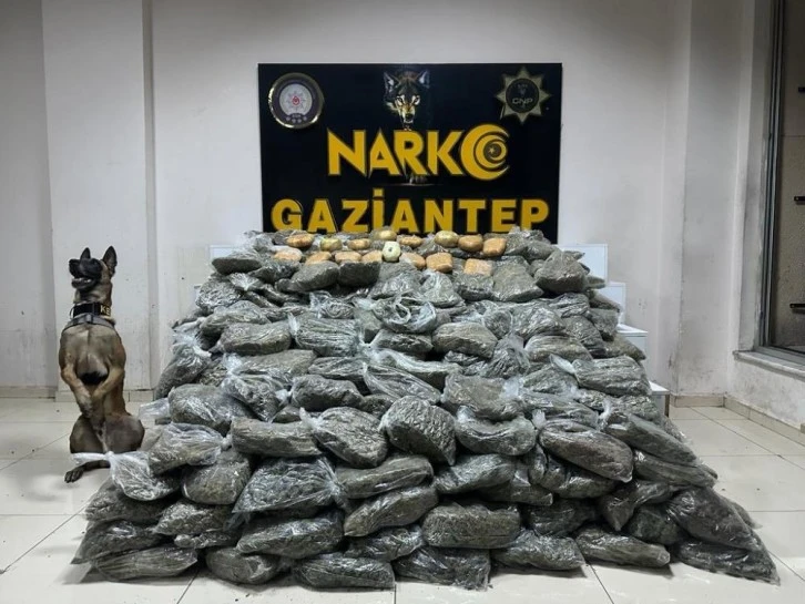 Gaziantep'te 170 kilogram skunk ele geçirildi