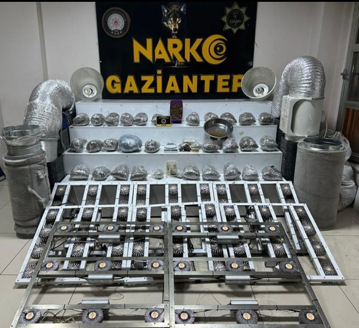 Gaziantep&rsquo;te 32 kilo skunk ele ge&ccedil;irildi