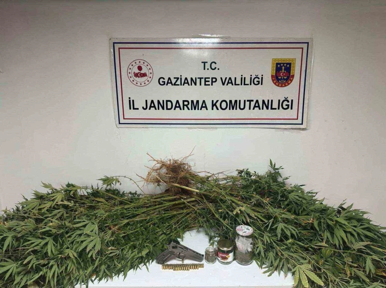 Gaziantep&rsquo;te 5 kilo esrar ile 178 k&ouml;k kenevir ele ge&ccedil;irildi: 4 g&ouml;zaltı