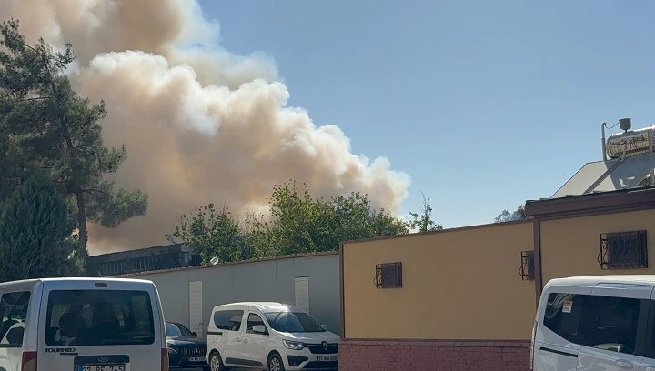 Gaziantep’te halı fabrikasında yangın