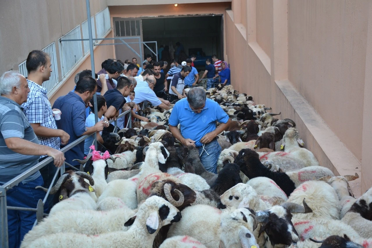 Gaziantep Yardım Vakfı'ndan  Randevulu Kurban Kesim Kolaylığı