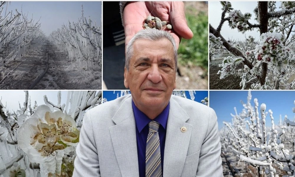 Hasan Öztürkmen’den Gaziantep çiftçisine acil destek çağrısı