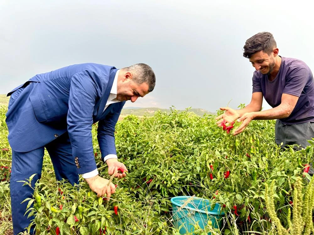 Milletvekili Bünyamin Bozgeyik"ten 1 Mayıs mesajı