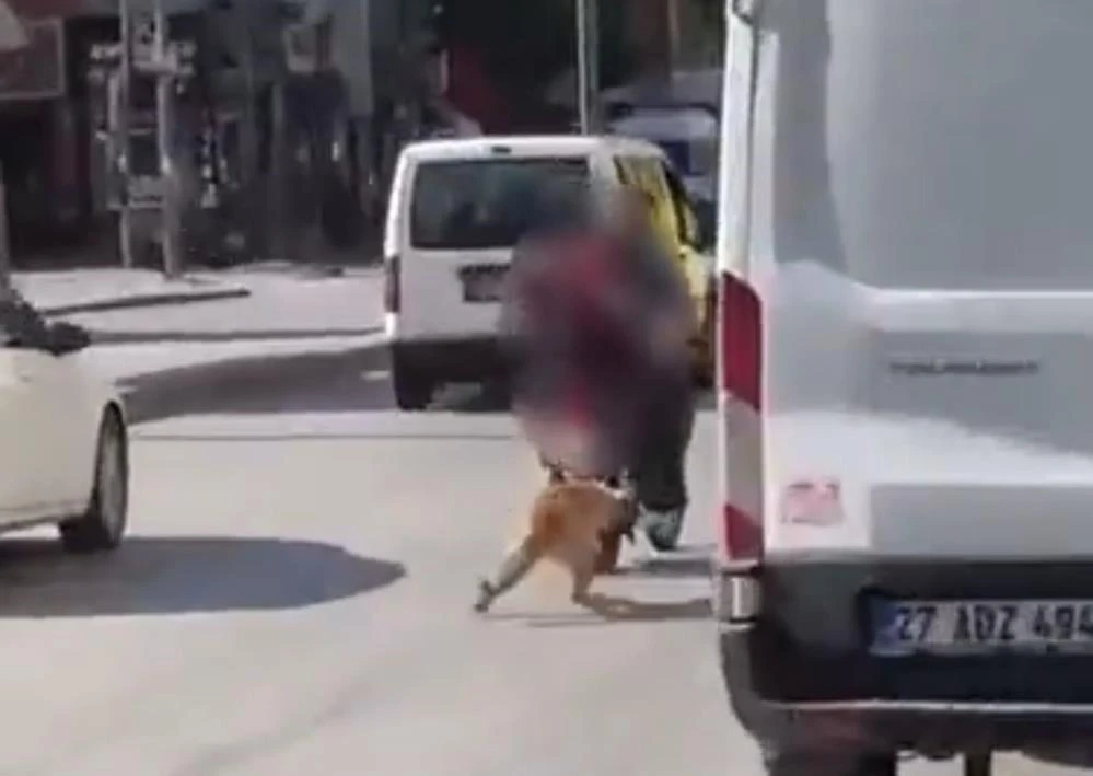 Motosikletin arkasına bağladıkları k&ouml;peği s&uuml;r&uuml;kleyerek g&ouml;t&uuml;rd&uuml;ler