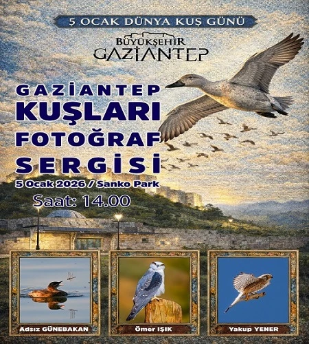 GAZİANTEP'İN KUŞLARI G&Ouml;R&Uuml;C&Uuml;YE &Ccedil;IKIYOR