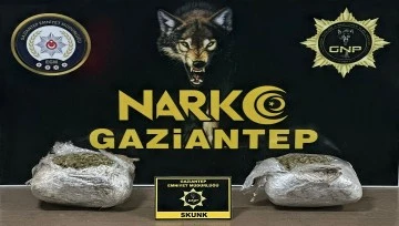 1.5 kilogram skunk ele geçirildi