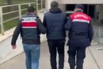 13 hırsızlık şüphelisi tutuklandı