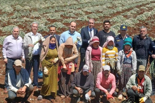14 Mayıs Dünya Çiftçiler Günü sarımsak tarlasında kutlandı