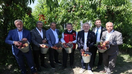 2026 yılının ilk d&ouml;rt ayında şeftali ve nektarin ihracatı y&uuml;zde 300 arttı