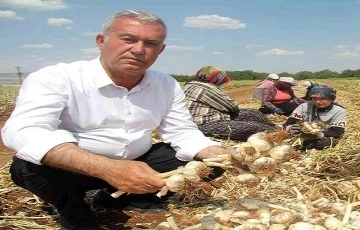 Altun'dan Araban Sarımsağı ile ilgili bilgi