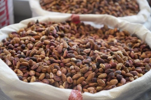 Antep fıstığına ithalat izni &ccedil;ıkınca fiyatlar ve satışlar d&uuml;şt&uuml;