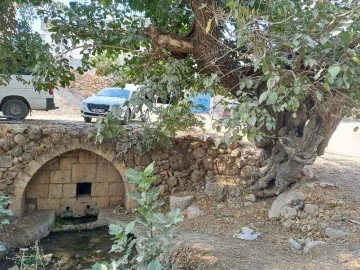 Araban'daki Roma dönemine ait tarihi çeşmeler kurtarılmayı bekliyor