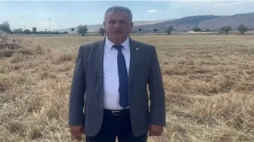 arpa ve buğday hasadı başladı