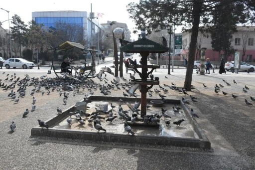 Başkan Tahmazoğlu: &quot;Sıcak havalar hayvanları da olumsuz etkiliyor&quot;