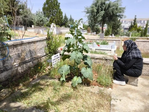 Feray Şahin, Anneler Günü'nde mezarı başında anıldı