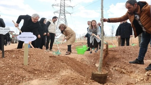 Gaziantep Büyükşehir, 330 bin metrekare alanı ağaçlandırdı
