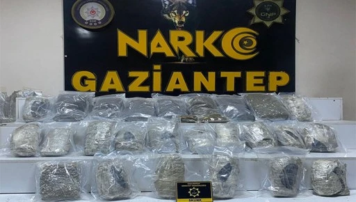  Gaziantep'te 13 kilo skunk ele ge&ccedil;irildi