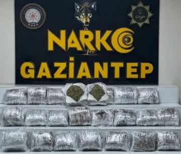 Gaziantep'te 24 kilo skunk ele geçirildi