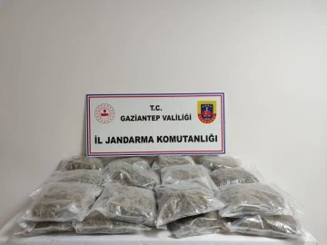 Gaziantep'te 32 kilogram skunk ele geçirildi