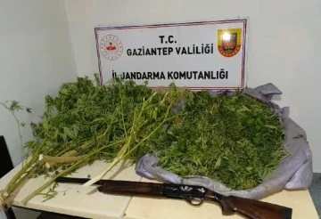 Gaziantep'te 6 kilo esrar ele geçirildi