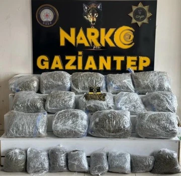Gaziantep'te 78 kilogram skunk ele geçirildi: 1 şahıs tutuklandı