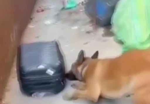 Gaziantep'te 950 gram metamfetimin ele geçirildi: 3 şahıs tutuklandı