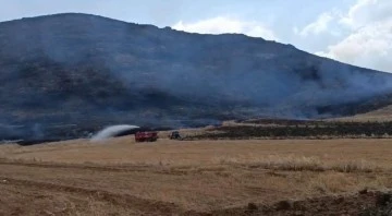 Gaziantep'te anız yangını ormanlık alana zarar verdi