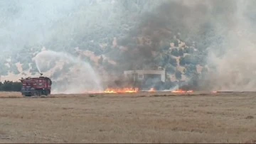 Gaziantep’te çıkan yangında 30 dönüm ormanlık alan zarar gördü