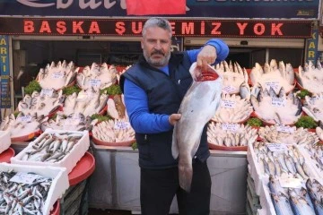 Gaziantep'te havaların serinlemesiyle balık satışları arttı