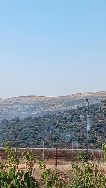Gaziantep'te korkutan orman yangını kontrol altına alındı