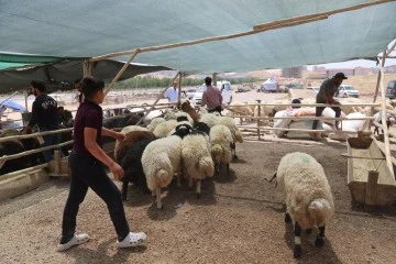 Gaziantep'te Kurban Bayramı öncesi sıkı denetimler sürüyor