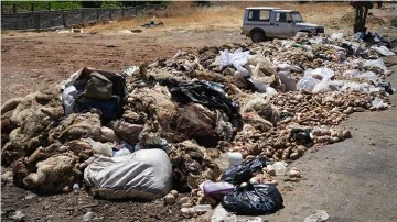 Gaziantep'te mide bulandıran görüntüler
