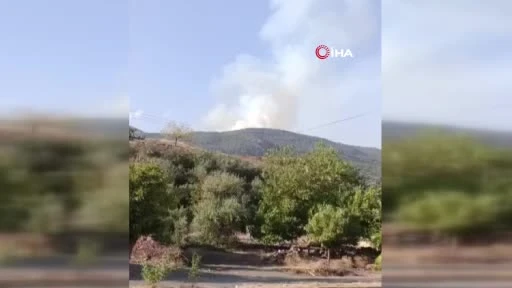 Gaziantep’te orman yangını
