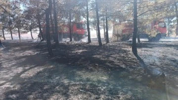 Gaziantep'te orman yangını