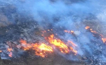 Gaziantep'te orman yangını