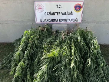 Gaziantep'te uyuşturucu operasyonu: 4 gözaltı