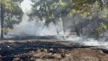 Gaziantep’teki orman yangını kontrol altına alındı
