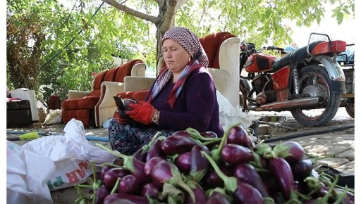 Gaziantepli kadınların kurutmalık mesaisi devam ediyor