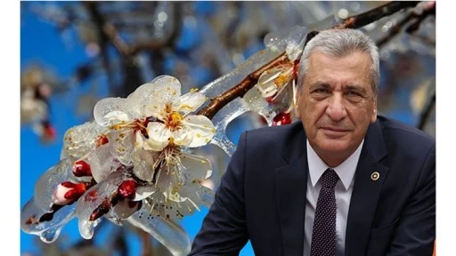 Hasan Öztürkmen: Zirai dondan etkilenen Gaziantep, yine sahipsiz