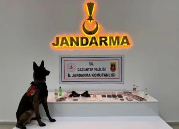 Jandarmadan kaçakçılık ve uyuşturucu operasyonu: 22 tutuklama