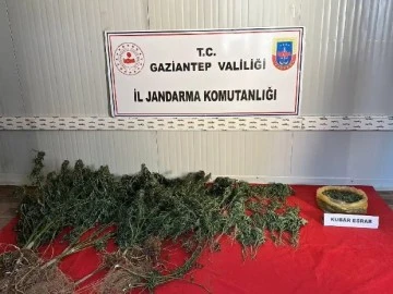 Jandarmadan uyuşturucu ve kaçakçılık operasyonu: 1 şahıs tutuklandı