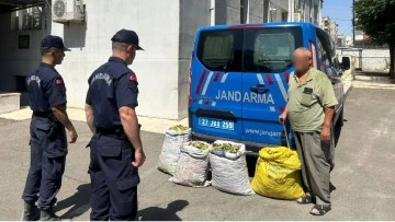 JANDARMANIN YEŞİL ALTIN NÖBETİ SONUÇ VERİYOR: 12 ŞAHIS YAKALANDI