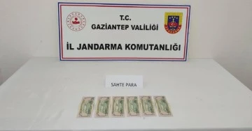 Kalpazanlık yapan şahsa jandarmadan suçüstü