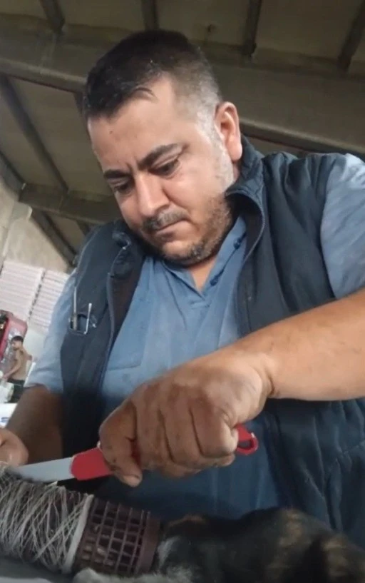 Kedinin imdat &ccedil;ığlığına şef yetişti