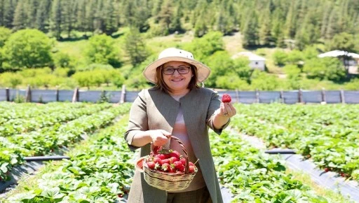 GAP BÖLGE BAŞKANLIĞI İLE HUZUR YAYLASI PROJE LANSMANI DÜZENLENDİ