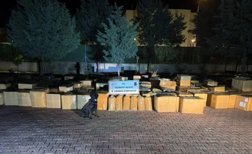 JANDARMA KA&Ccedil;AK&Ccedil;ILARA G&Ouml;Z A&Ccedil;TIRMIYOR