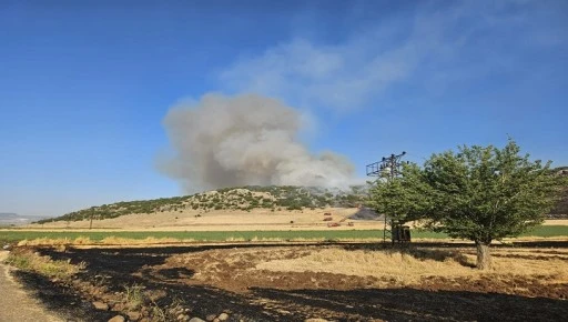 GAZİANTEP JANDARMA ANIZ YAKAN ŞAHSI SUÇÜSTÜ YAKALADI  