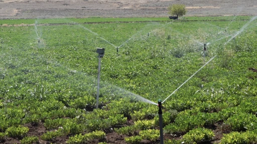 GAZİANTEP BÜYÜKŞEHİR, AKILLI SULAMA SİSTEMLERİNİ NURDAĞI VE İSLAHİYE’DE HAYATA GEÇİRDİ